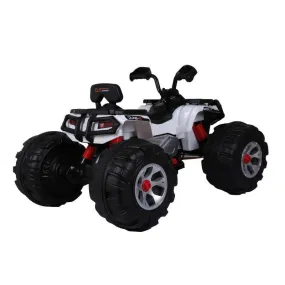 Amla Motorbike Battery -White - JS3188W