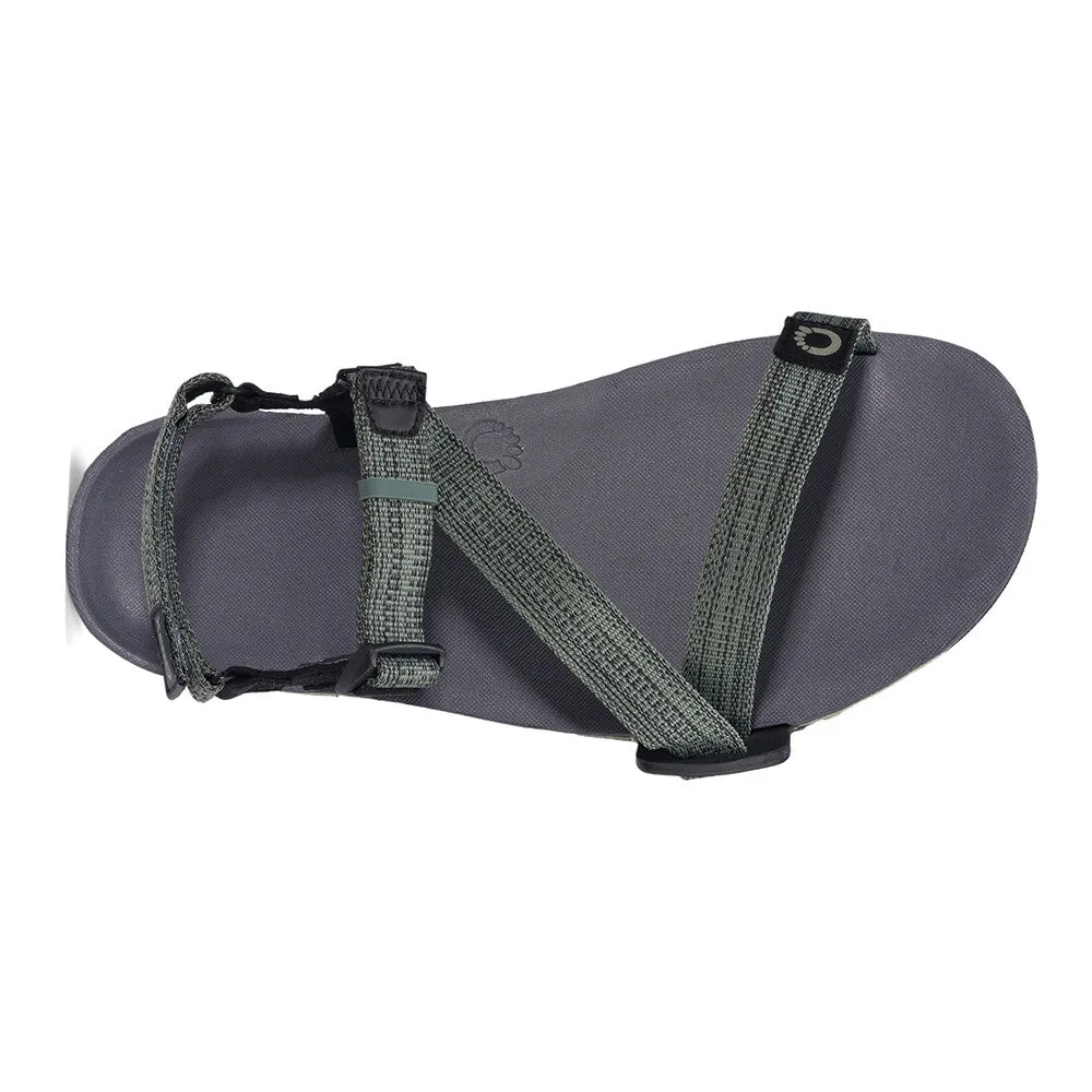 Xero Shoes Z-Trail EV Men - vetiver green
